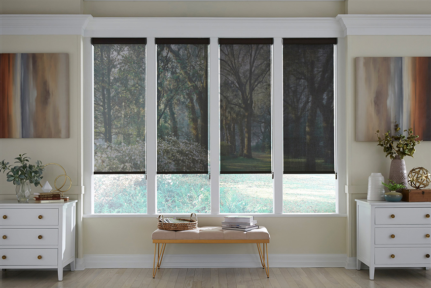 Roller & Roman Shades Custom Window Treatments Lafayette Interior