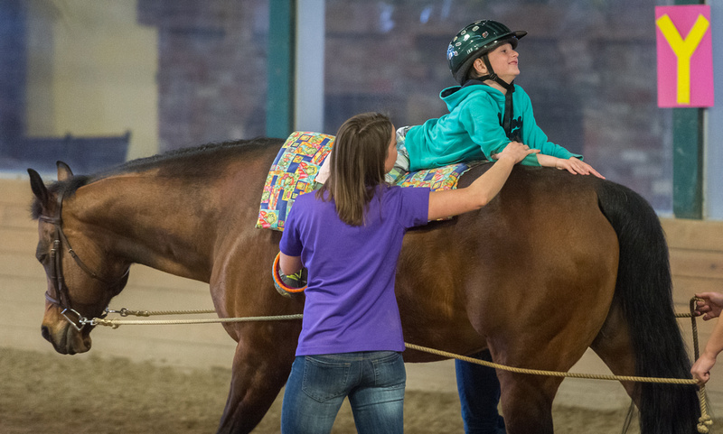 The Hippotherapy: Equine Movement