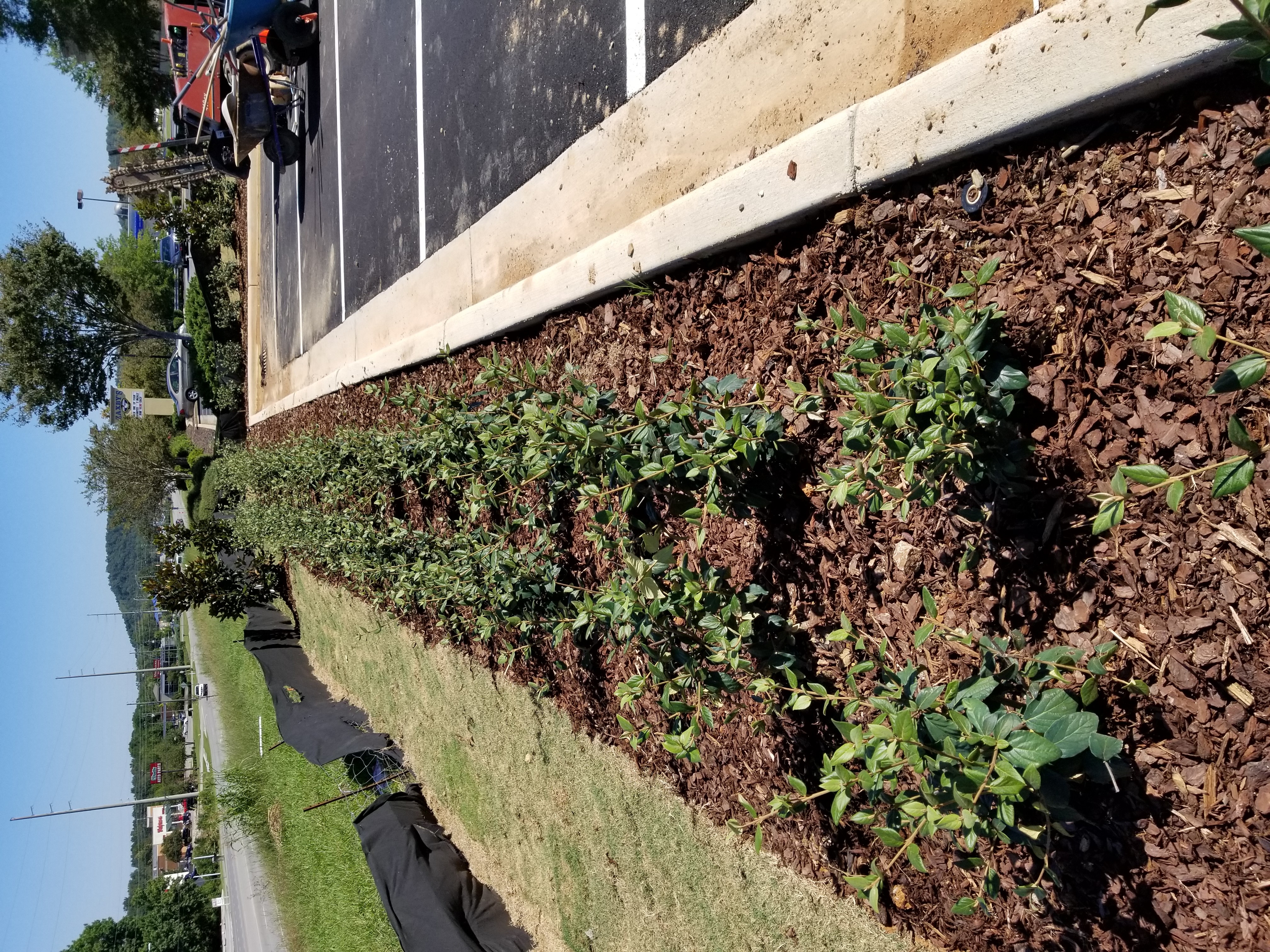 Alabaster Landscaping and Irrigation Services Alabaster Landscaping and Irrigation Services