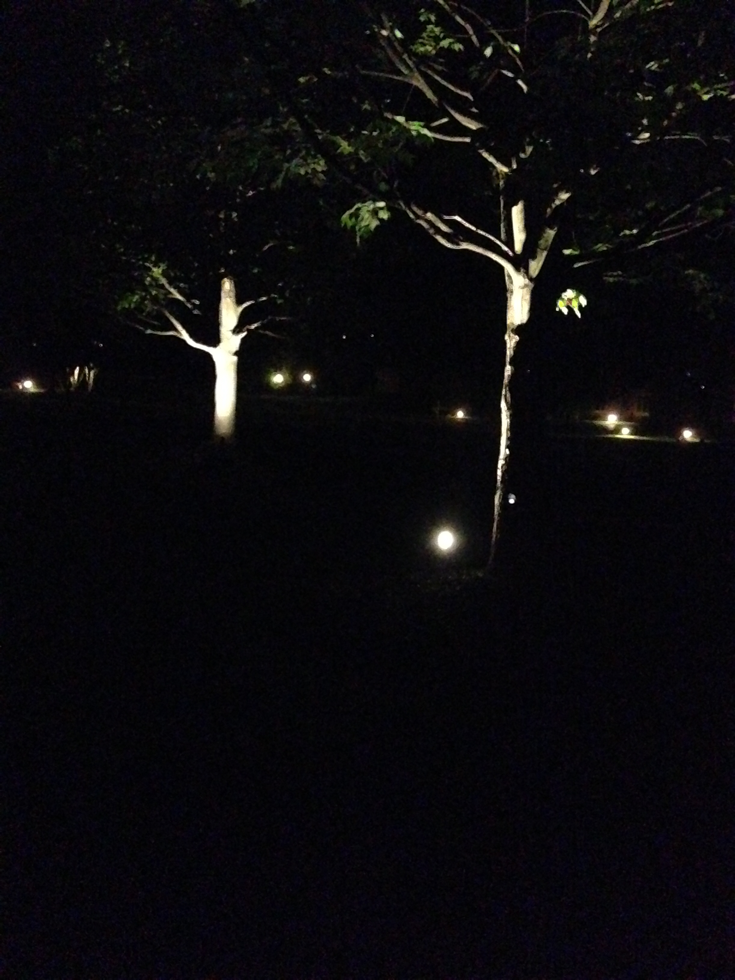 Carmel Outdoor Lighting Carmel Outdoor Lighting