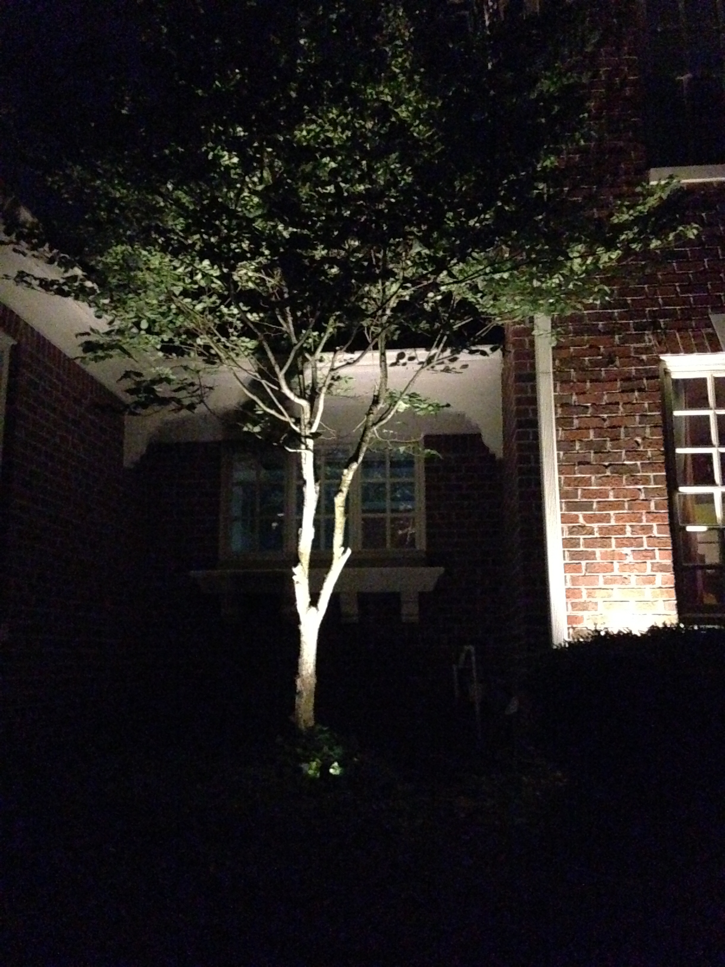 Carmel Outdoor Lighting Design Carmel Outdoor Lighting Design
