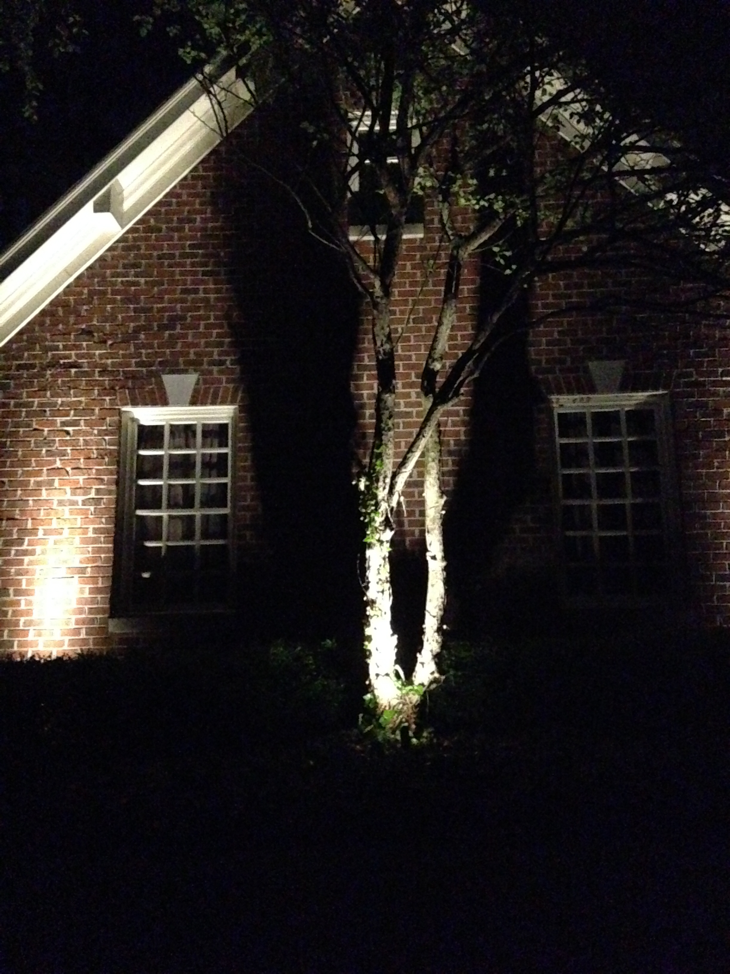 Carmel Landscape Lighting Design Carmel Landscape Lighting Design