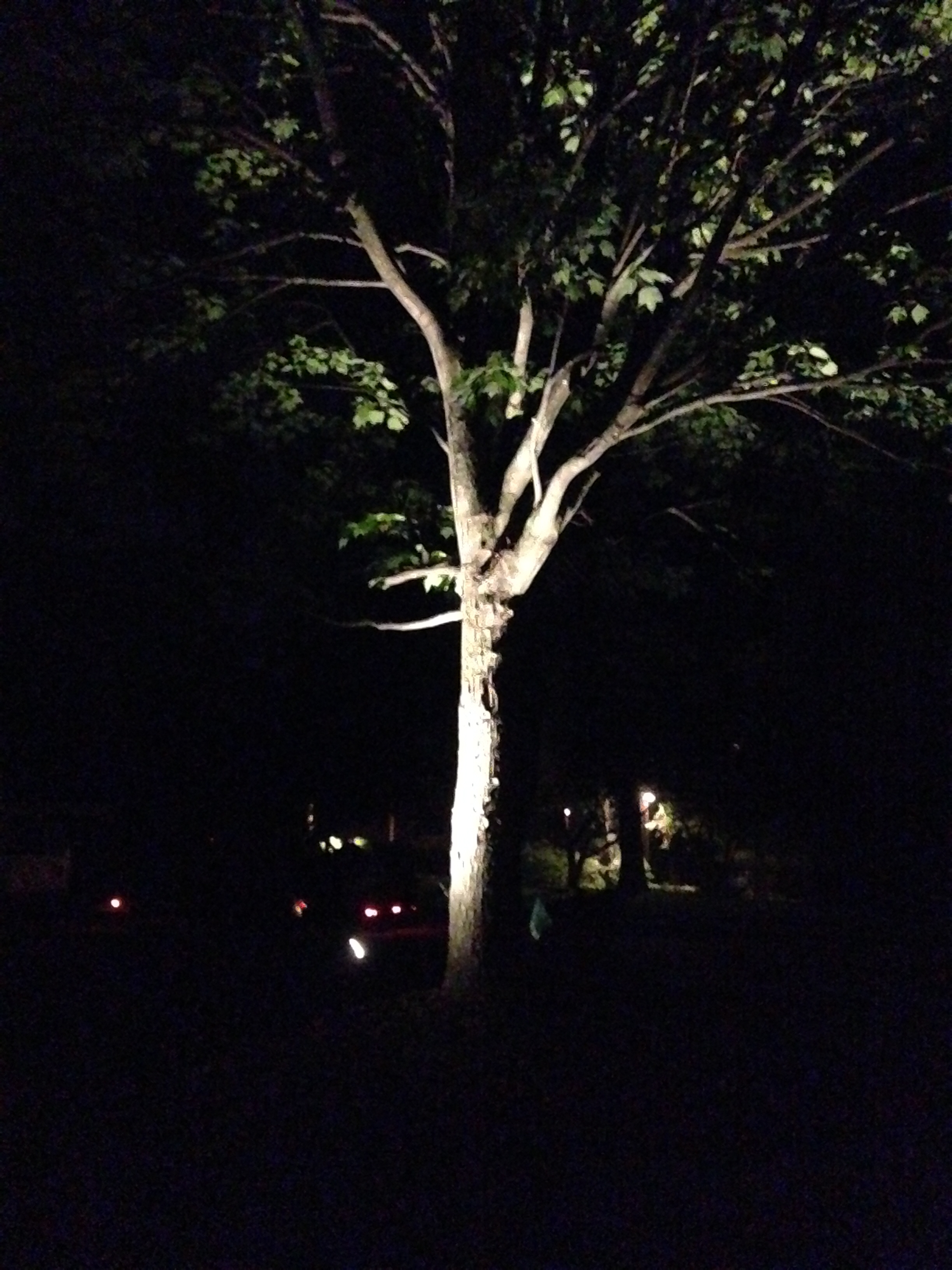 Carmel Outdoor Lighting Services Carmel Outdoor Lighting Services