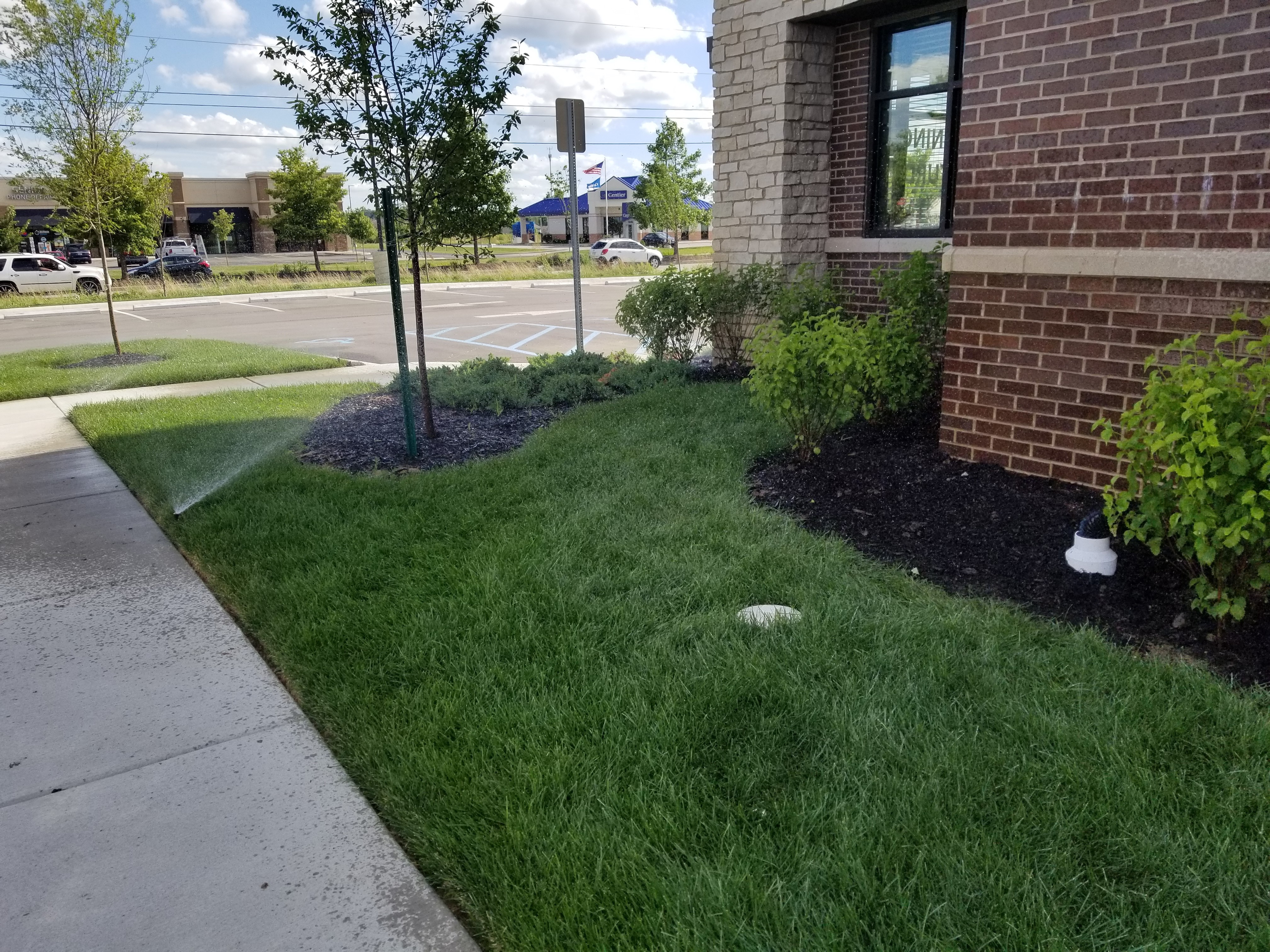Lafayette Commercial Landscaping Project Lafayette Commercial Landscaping Project